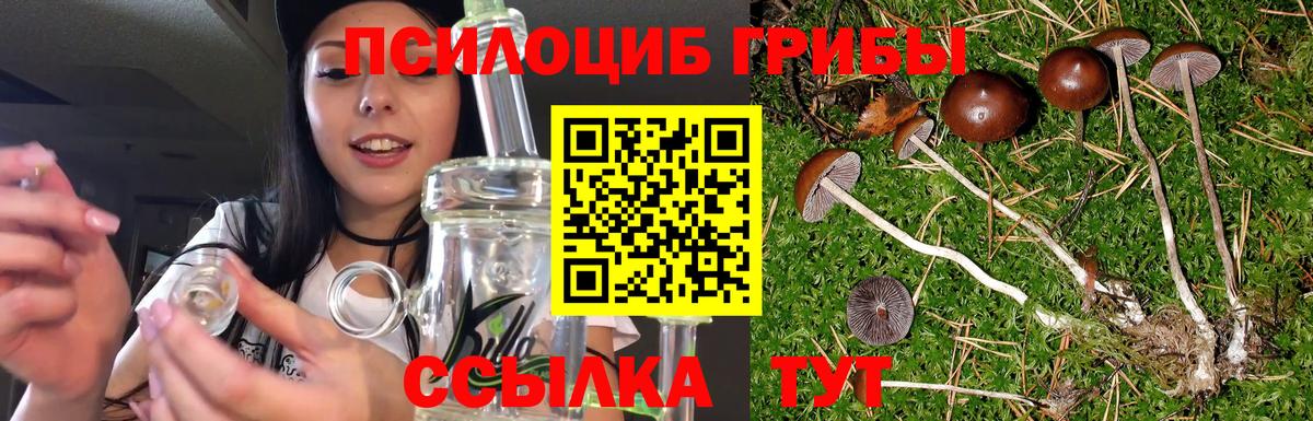 Псилоцибиновые грибы мухоморы Артём